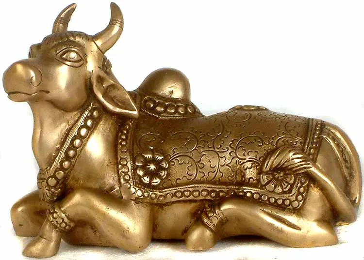 nandi padyami